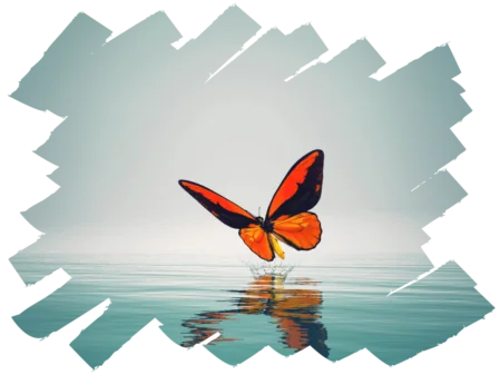 Orangefarbener Schmetterling über ruhigem Wasser – Symbol für Veränderung und Leichtigkeit<br /><br />
